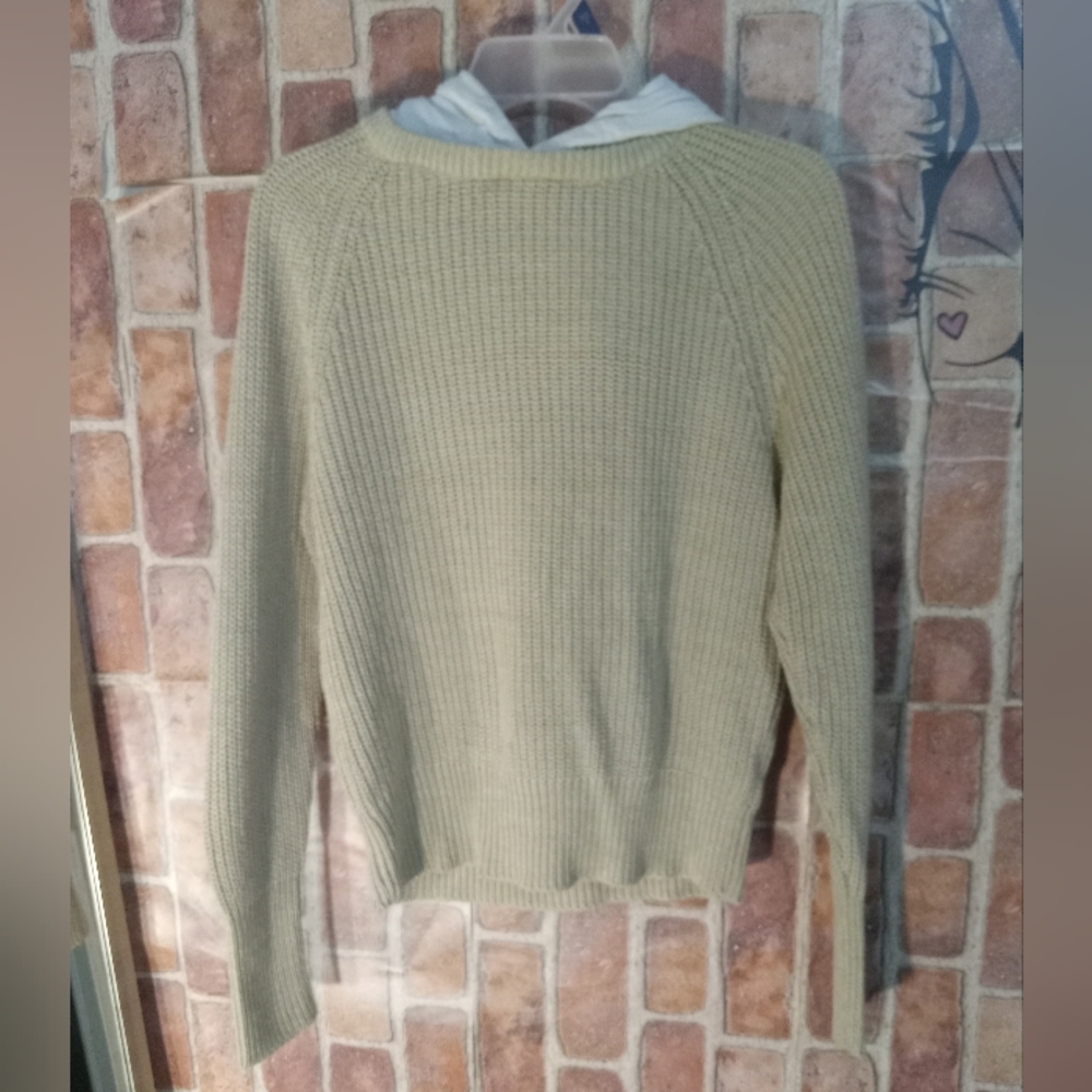 Pre-Owned Hooded Sweater * Wear pics for reference *